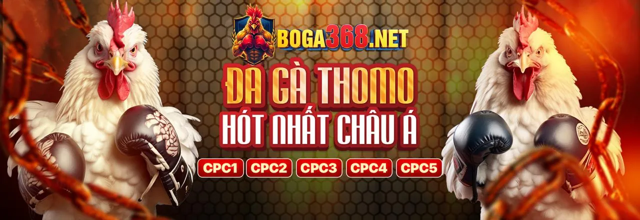 Giao diện người dùng ibet app hiển thị các lựa chọn trò chơi đa dạng và dễ điều hướng