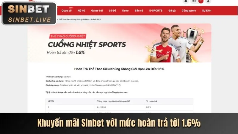 Hình ảnh minh họa hỗ trợ qua email của ibet app